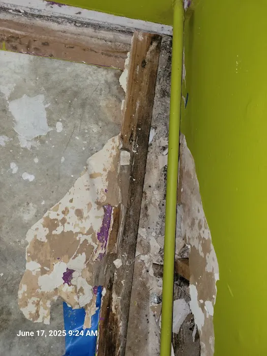 Coastal Restoration Specialists Picture 10