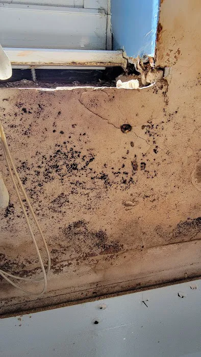 Dry Pros Restoration Picture 4