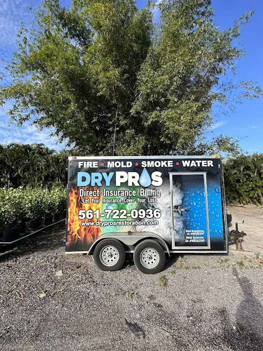 Dry Pros Restoration Picture 5