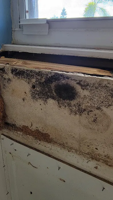 Dry Pros Restoration Picture 7