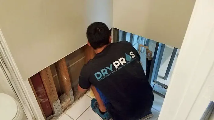 Dry Pros Restoration Picture 9