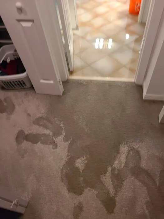 Dry Pros Restoration Picture 10