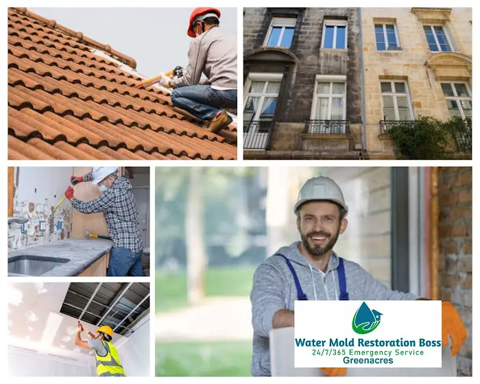 Boss of Greenacres Picture 2