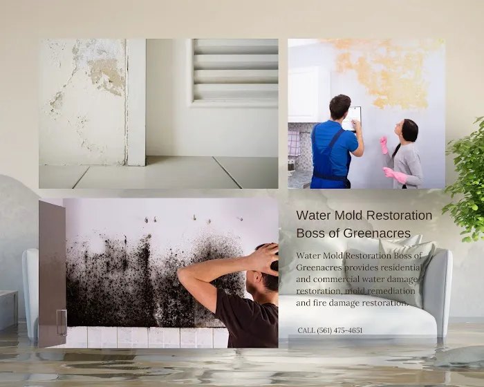 Boss of Greenacres Picture 1