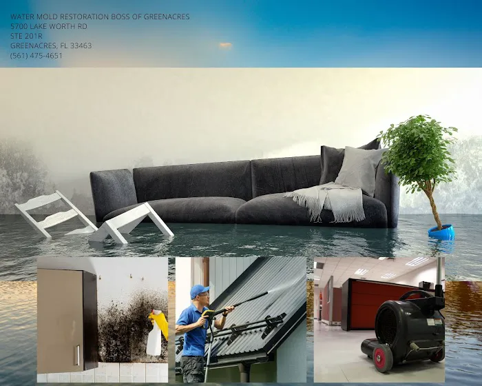 Boss of Greenacres Picture 3