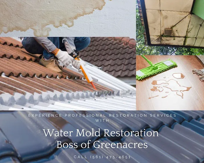 Boss of Greenacres Picture 4