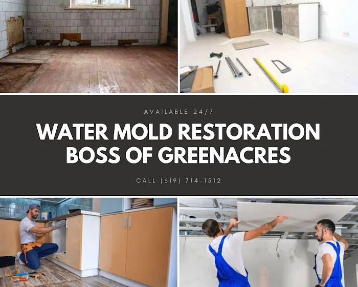 Boss of Greenacres Picture 10