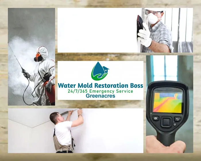 Boss of Greenacres Picture 9