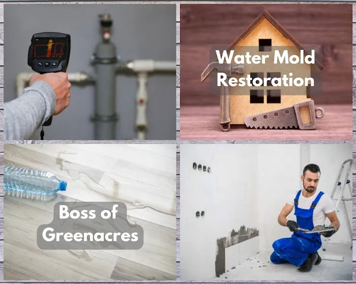 Boss of Greenacres Picture 8