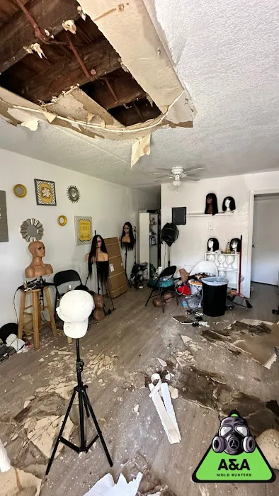 A&A Mold Busters Picture 2