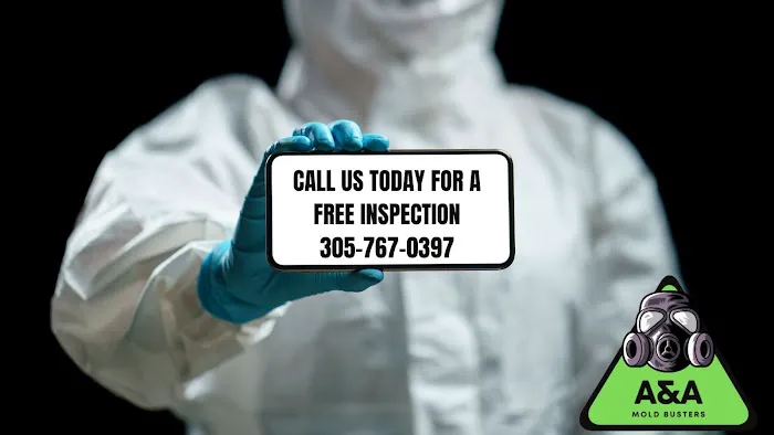 A&A Mold Busters Picture 1