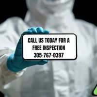 A&A Mold Busters ico