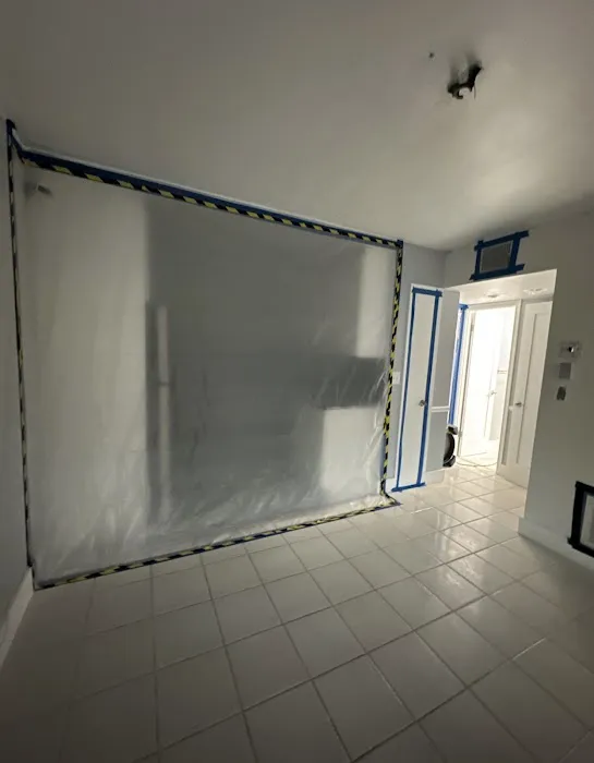 A&A Mold Busters Picture 3