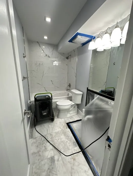 A&A Mold Busters Picture 5