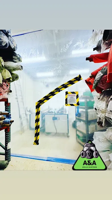 A&A Mold Busters Picture 7