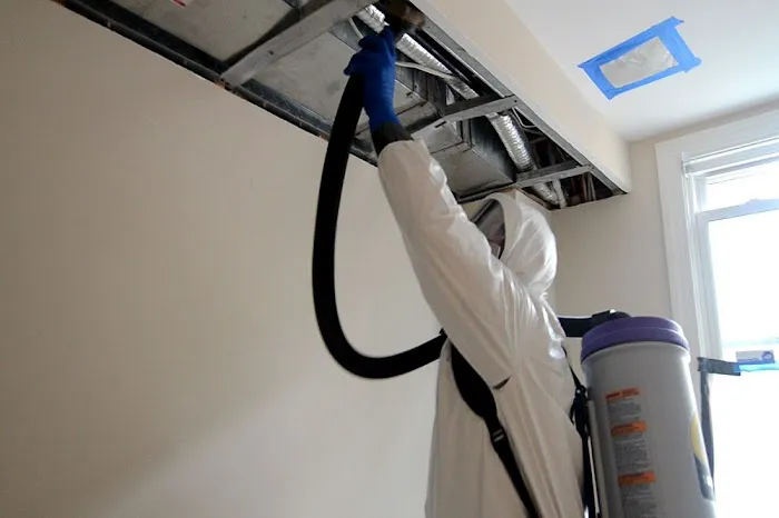 Global Restoration Team Picture 8