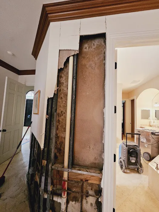 Global Restoration Team Picture 9