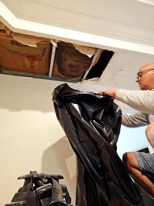 Global Restoration Team Picture 10