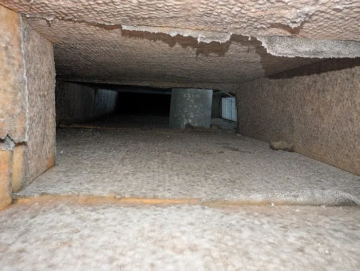 Maxim Mitigation Picture 8