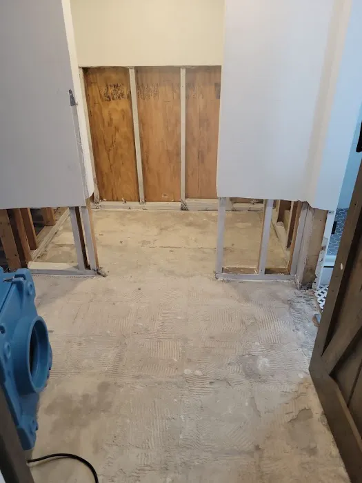 Mold Expert Picture 4