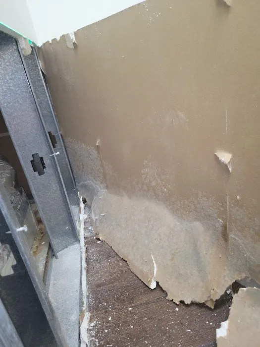 Mold Expert Picture 9