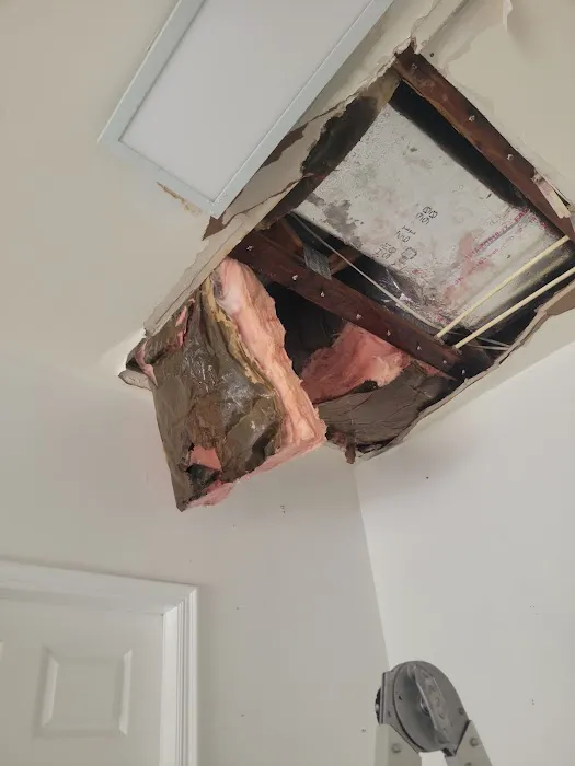 Mold Expert Picture 10