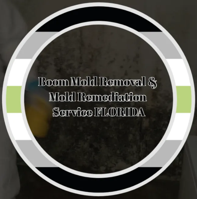 Boom Mold Removal & Mold Remediation Service FLORIDA Picture 2