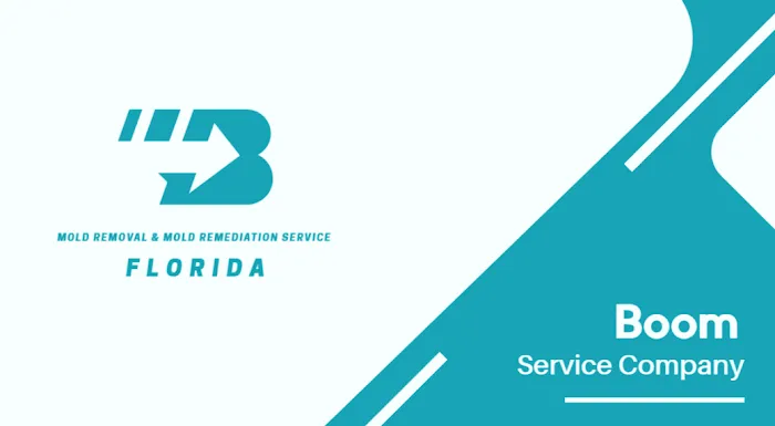 Boom Mold Removal & Mold Remediation Service FLORIDA Picture 1