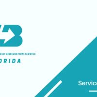 Boom Mold Removal & Mold Remediation Service FLORIDA ico