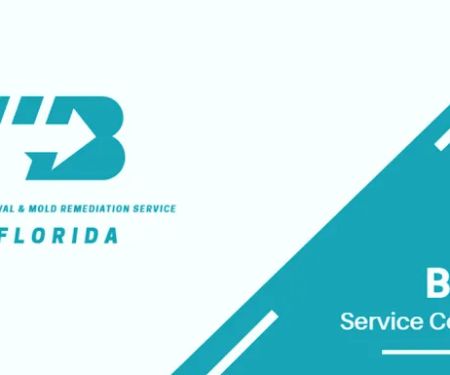 Boom Mold Removal & Mold Remediation Service FLORIDA