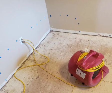 Emergency Water Cleanup