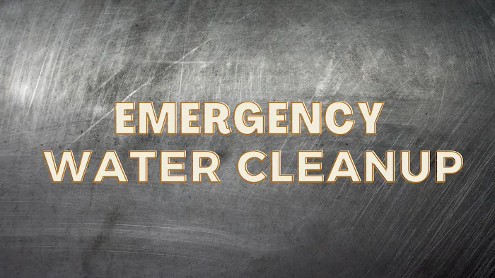 Emergency Water Cleanup Picture 2