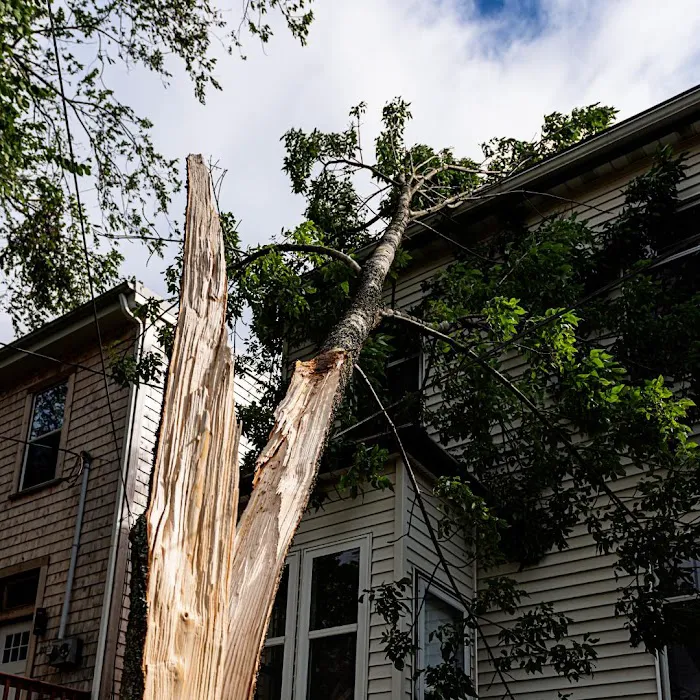 Emergency Water Cleanup Picture 4