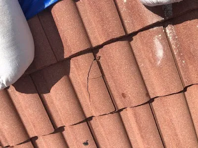 Shield Water Damage Restoration West Palm Beach FL Picture 1