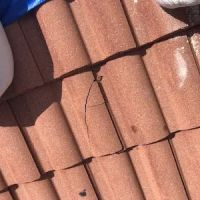 Shield Water Damage Restoration West Palm Beach FL ico