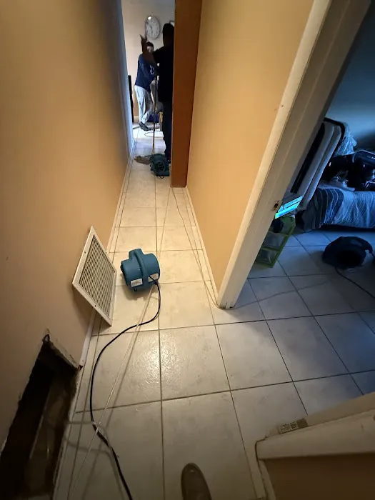 Thunder Restoration - Water And Mold Damage Restoration Picture 4