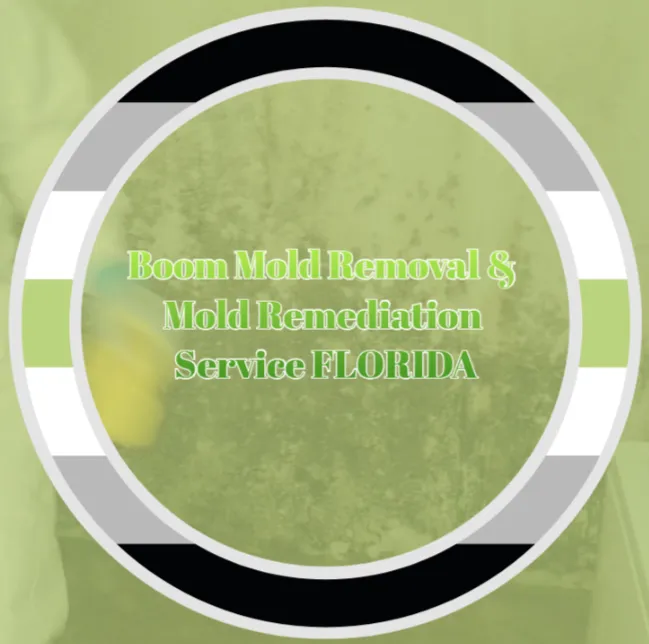 Enge Mold Removal & Mold Remediation Service FLORIDA Picture 2