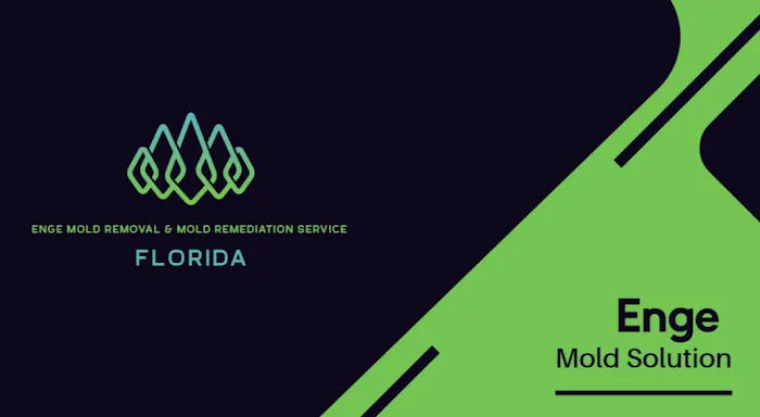 Enge Mold Removal & Mold Remediation Service FLORIDA Picture 1