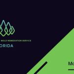 Enge Mold Removal & Mold Remediation Service FLORIDA