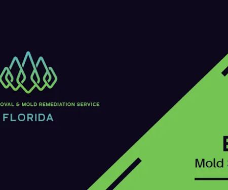 Enge Mold Removal & Mold Remediation Service FLORIDA