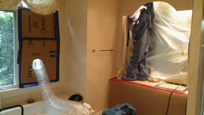 Noah Restoration Picture 6