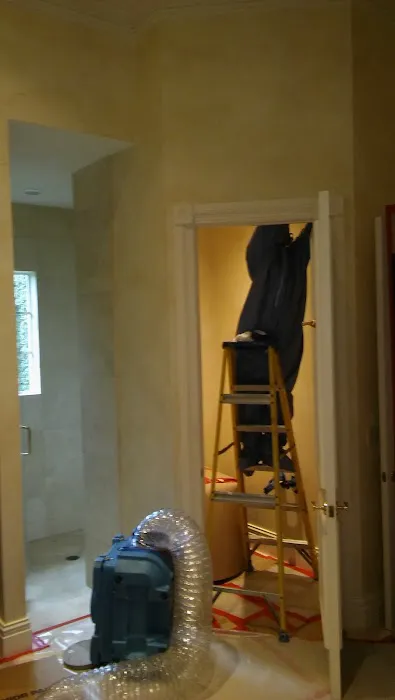 Noah Restoration Picture 4