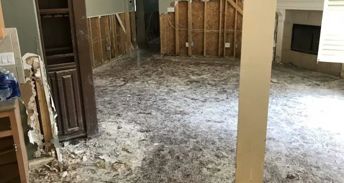 ALL IN ONE RESTORATION Picture 4