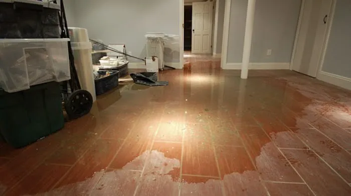 ALL IN ONE RESTORATION Picture 6