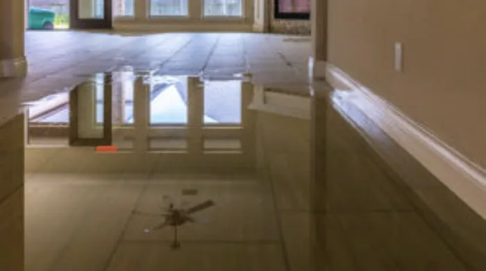 ALL IN ONE RESTORATION Picture 8