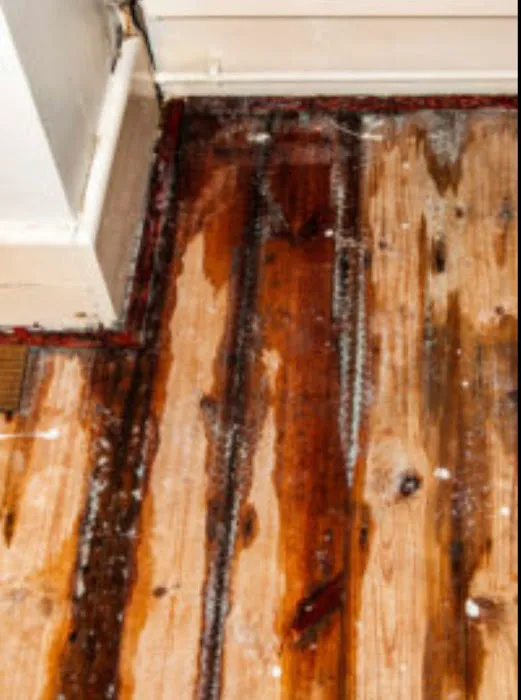 ALL IN ONE RESTORATION Picture 10