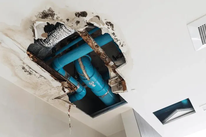 Tru Water Damage Care Picture 2