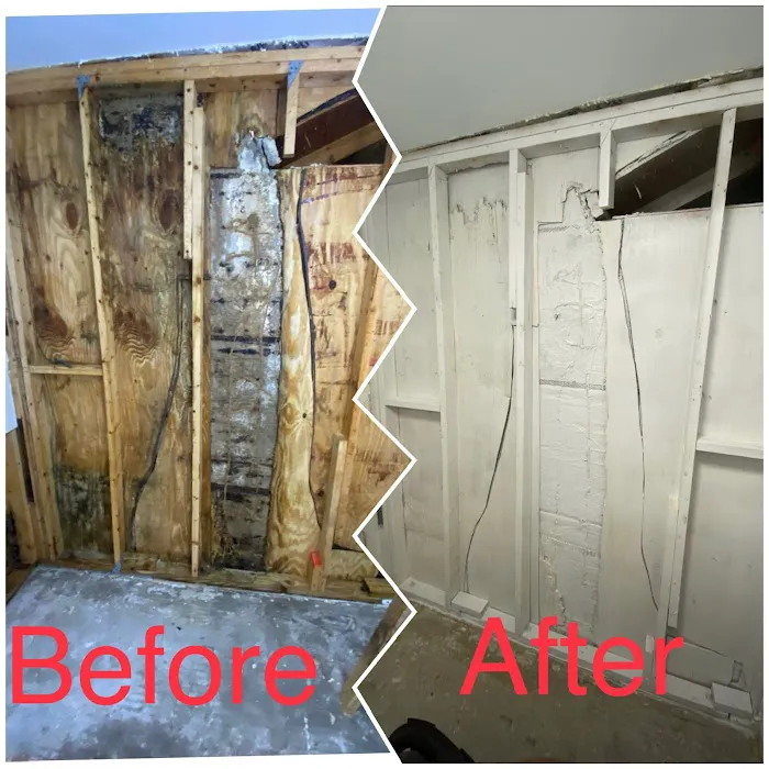 TLG Restoration Picture 3