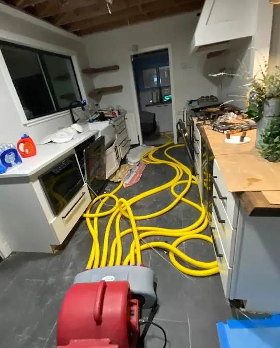 HydroRevive Experts Picture 5