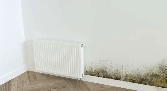 Water Damage Restoration West Palm Beach Picture 7